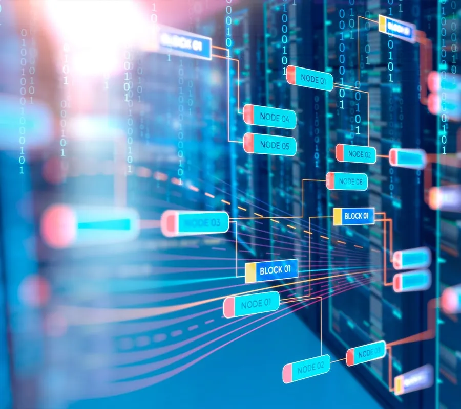 مستقبل البرمجة في الأردن